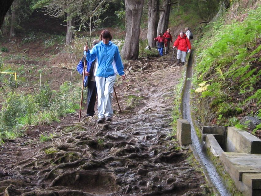 Ribeiro Frio / Portela Full Day Hike - Common questions