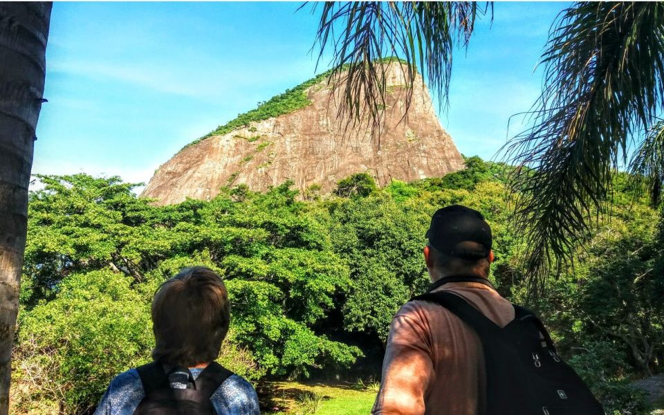 Rio De Janeiro: Eco City Tour - Customer Review and Rating