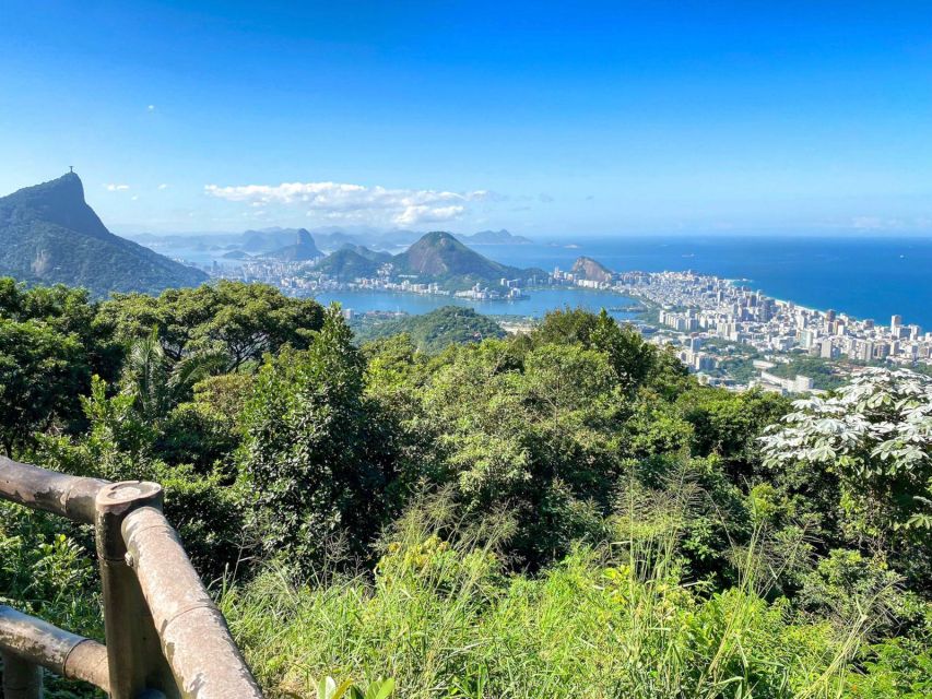 Rio De Janeiro: Tijuca Forest, Waterfalls, and Cave. - Scenic Viewpoints and Photo Ops