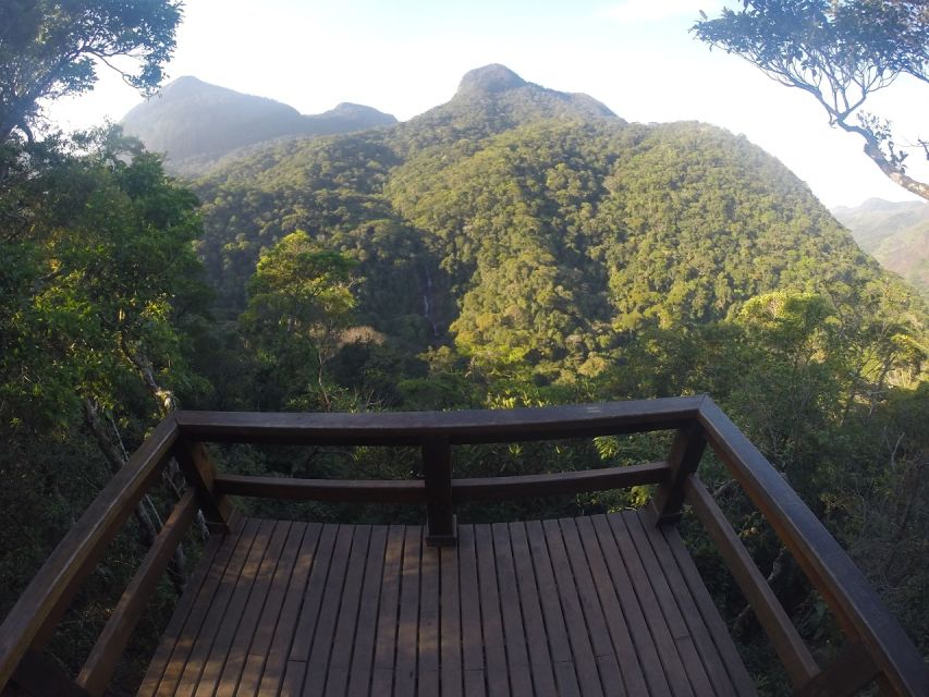 Rio De Janeiro: Tijuca National Park Ecotour - Additional Tips and Recommendations