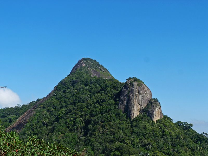 Rio De Janeiro: Tijuca Peak Guided Hike - Additional Information