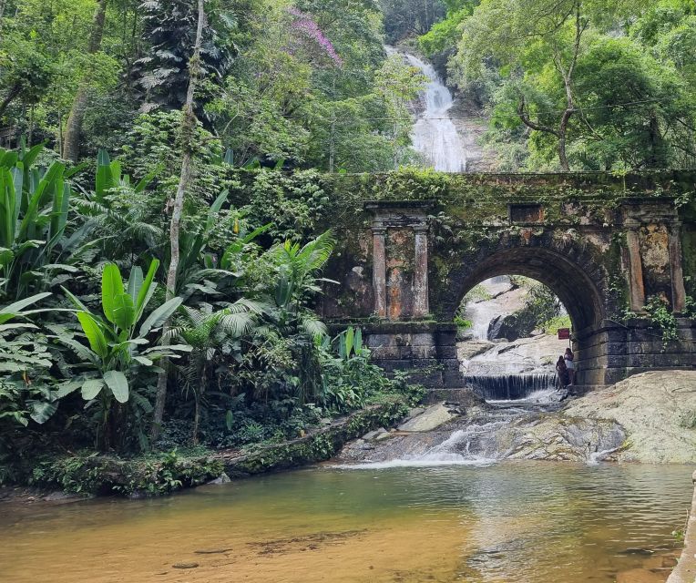 Rio: Tijuca National Park Caves and Waterfall Hiking Tour - Positive Customer Feedback and Reviews