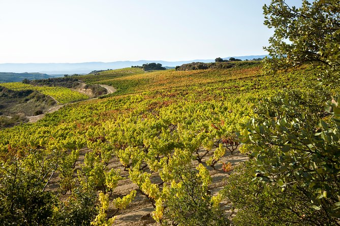 Rioja Wine Tour: 2 Wineries From Bilbao - Reviews From Viator and Tripadvisor