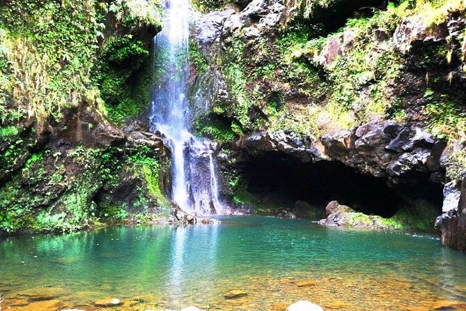 Road to Hana Private Jungle Tour - Reviews and Photos