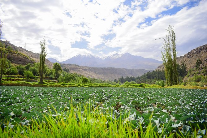 Rock Climbing Arequipa in Valle De Chilina - Embrace the Stunning Scenery