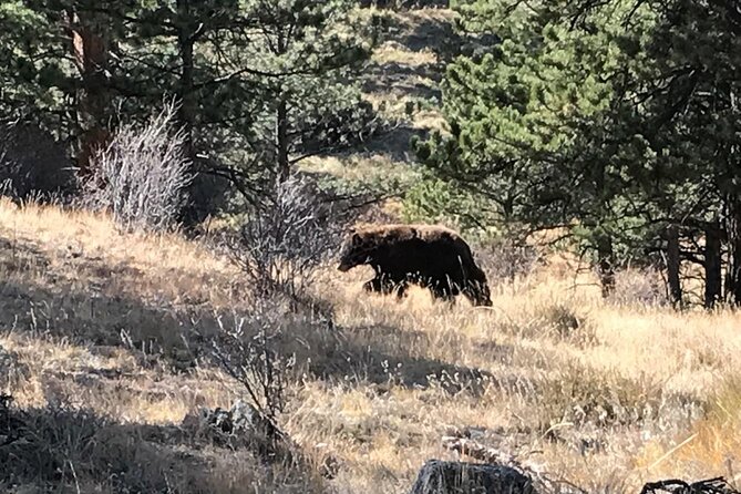 Rocky Mountain National Park in Summer Tour From Denver - Tour Highlights