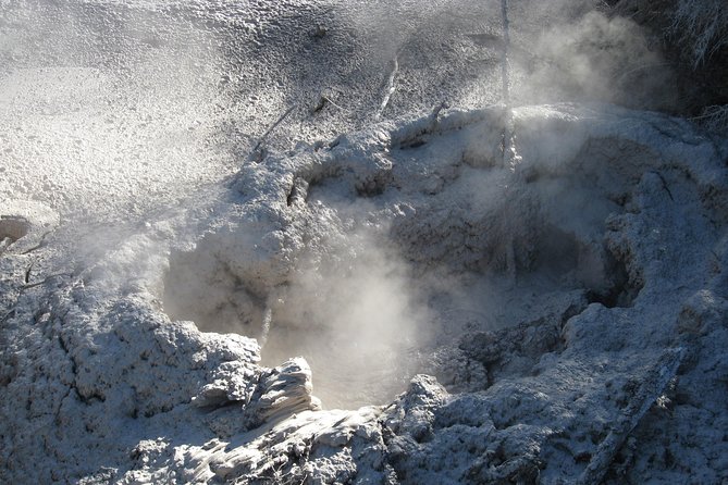 Rotorua Eco Cultural Full Day Tour (Wai O Tapu, Waimangu,Te Puia) - Traveler Photography