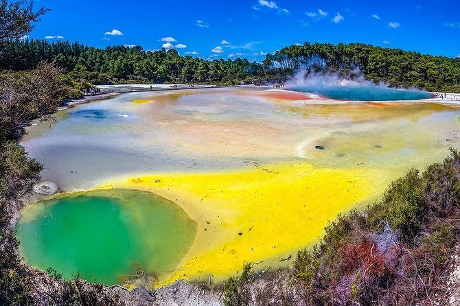 Rotorua Highlights Small Group Tour Including Wai-O-Tapu From Auckland - Accessibility Information