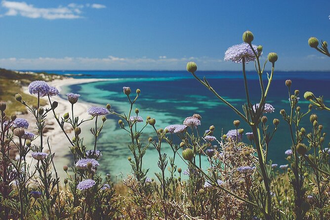 Rottnest Island Full-Day Trip With Guided Island Tour From Perth - Last Words