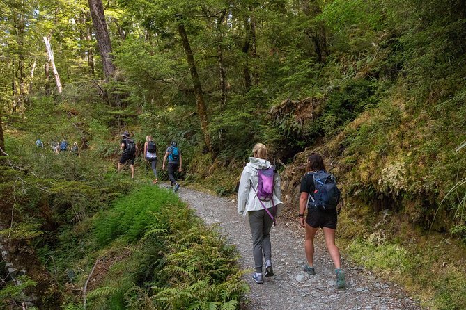 Routeburn Track Guided Walk (Half-Day) - Pickup Options