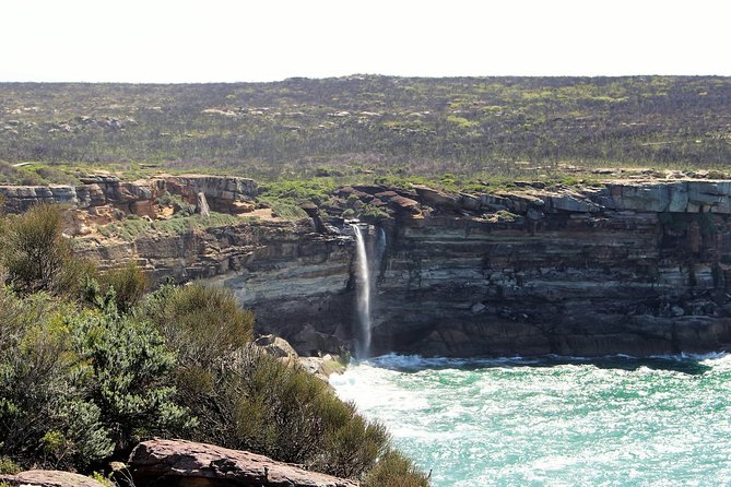 Royal National Park Tour - Common questions