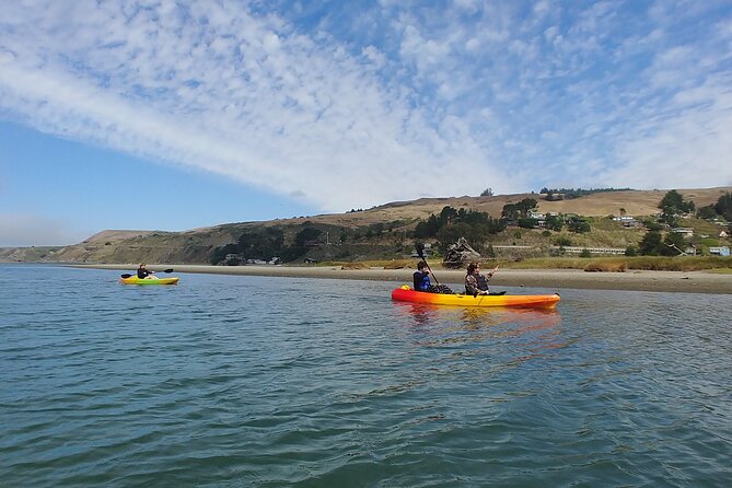 Russian River Kayak Tour at the Beautiful Sonoma Coast - Cancellation Policy and Reviews