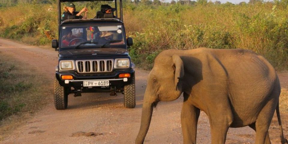 Safari Adventure:Udawalawe National Park Half-Day Expedition - Booking and Cancellation Policies