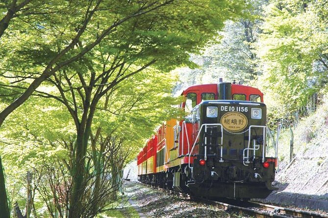 Sagano Romantic Train & Arashiyama, Kiyomizudera, Fushimi Inari Taisha Day Tour - Tour Experience