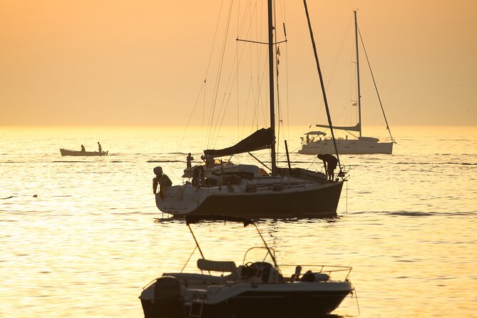 Sailing Boat With Dolphin Watching From Puerto Banús Marbella - Cancellation Policy