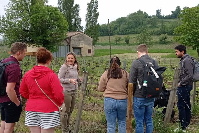 Saint Emilion Afternoon Wine Tour With Winery Visits & Tastings From Bordeaux - Memorable Experiences