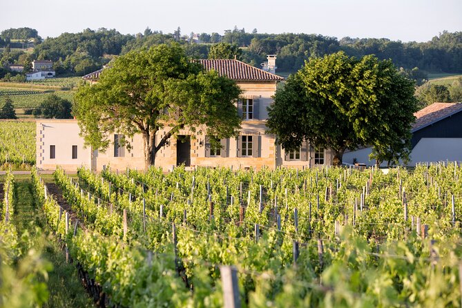 Saint Emilion Half-Day Trip With Wine Tasting & Winery Visit From Bordeaux - Background