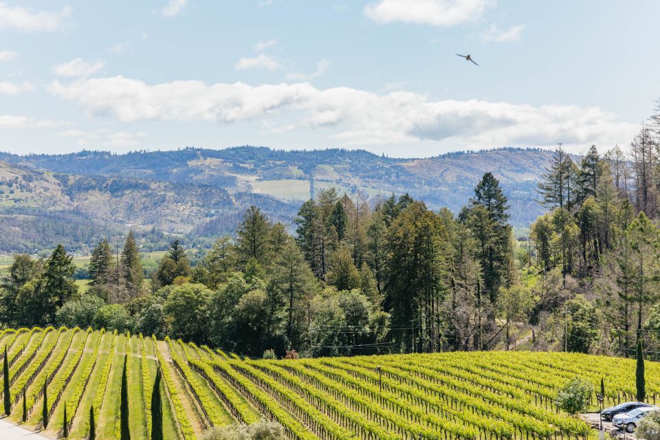 San Francisco: Luxury Small-Group Wine Tour of Napa Valley - Review Summary