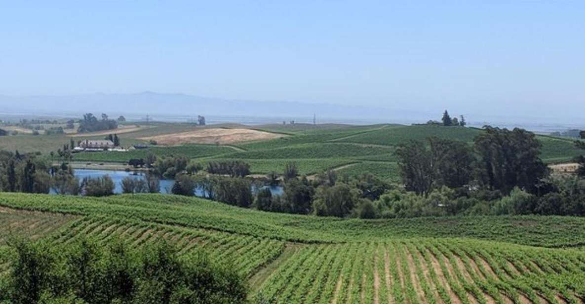 San Francisco: Napa and Sonoma Valley Private Wine Tour - Common questions