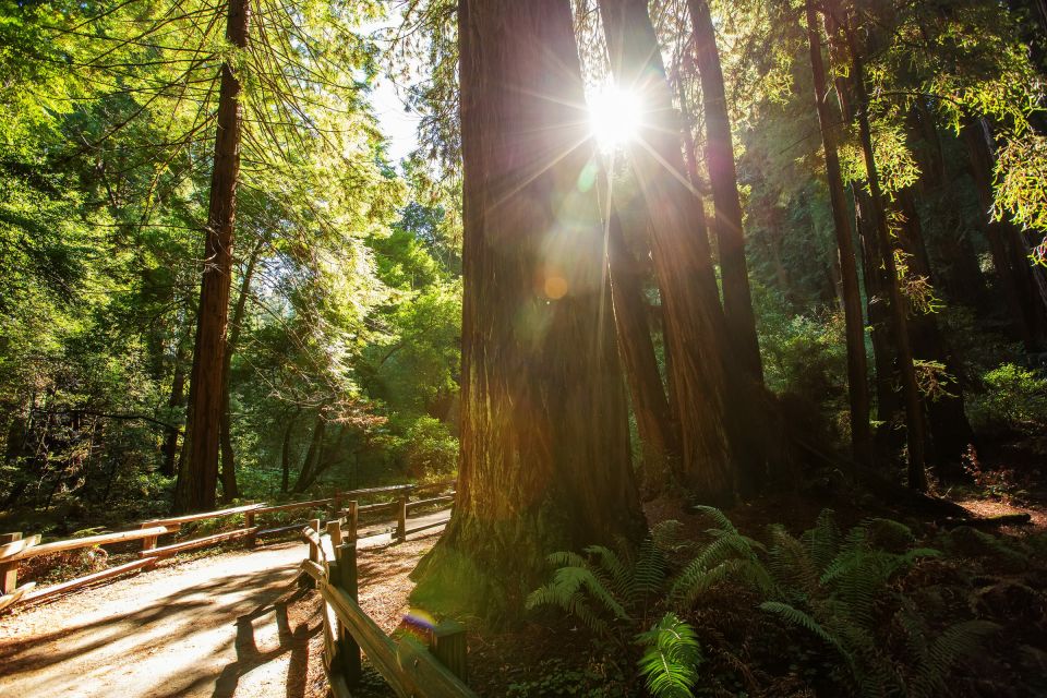 San Francisco: Private Muir Woods and Sausalito Tour - Directions