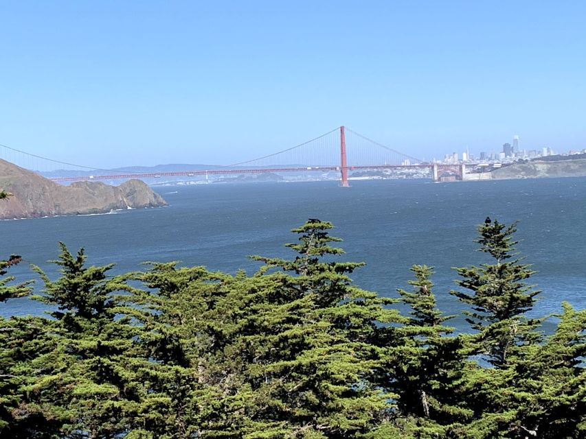 San Francisco: Private Muir Woods, Sausalito Half-Day Trip - Tour Itinerary