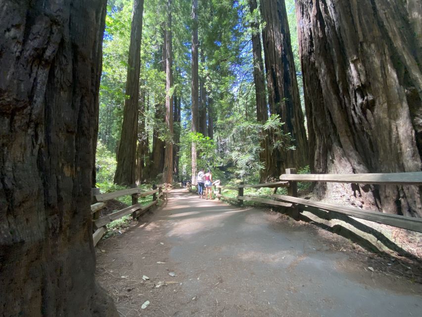 San Francisco Tour to Muir Woods Giant Redwoods & Sausalito - Reservation Benefits