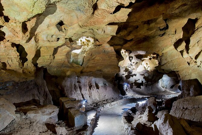 San Jose Caves Guided Tour From Valencia - Visitor Reviews and Feedback