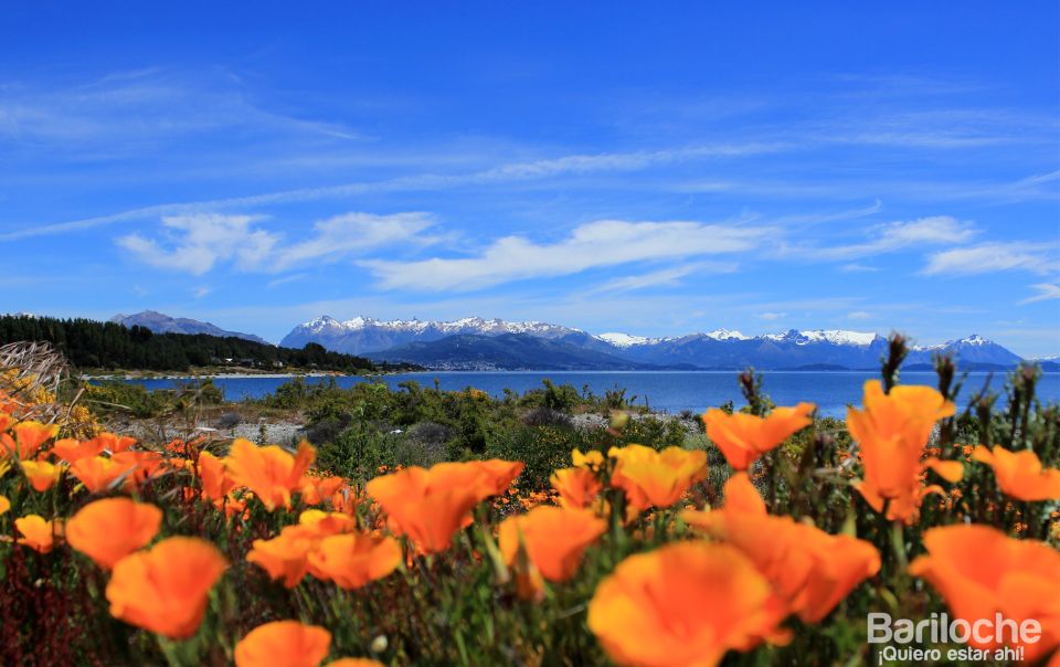 San Martín De Los Andes Through the 7 Lakes - Towns and Lakes