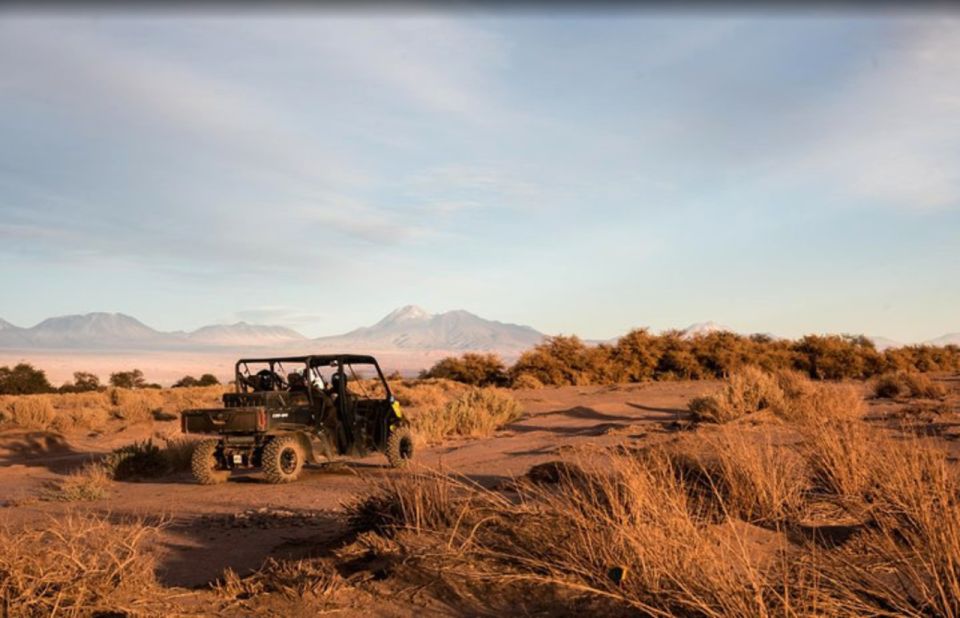 San Pedro De Atacama: Guided Buggy Tour Through the Desert - Last Words