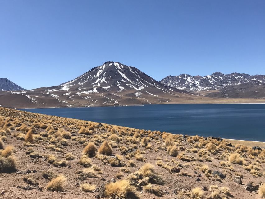 San Pedro De Atacama: Red Rocks & Altiplano Lagoons Day Trip - Pricing & Booking Options