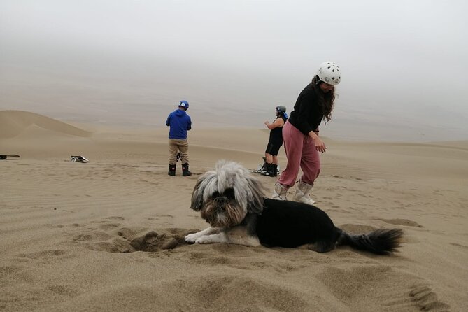 Sandboarding Experiance in Lima - Participant Experience Highlights