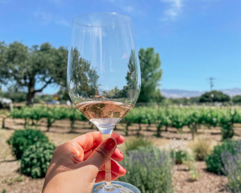 Santa Barbara: Wine Country Tour - Last Words