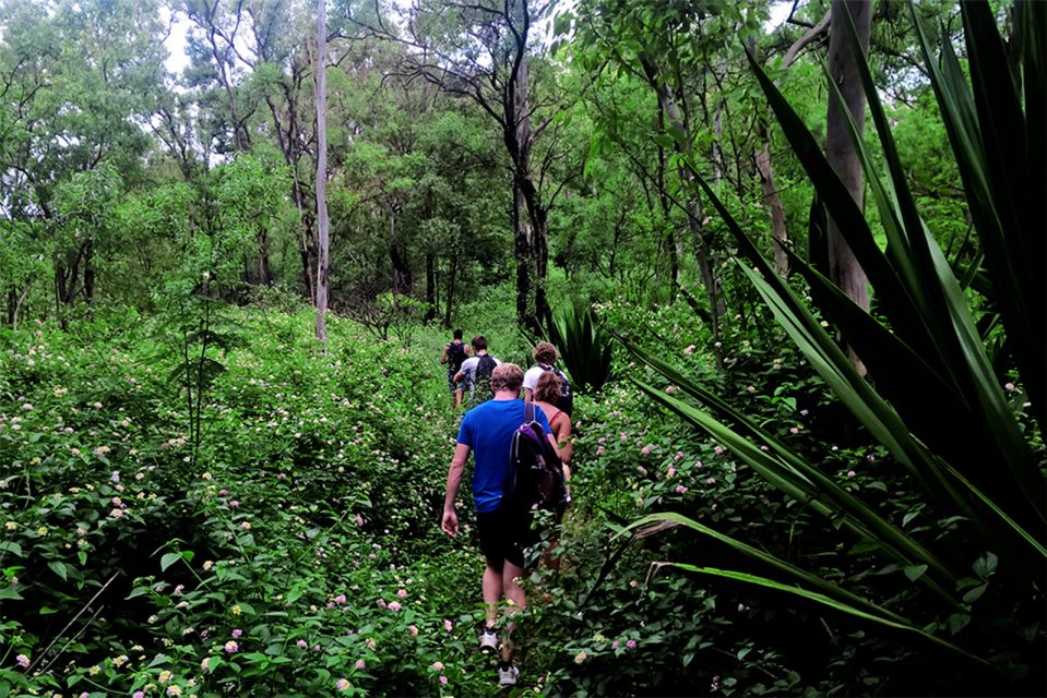 Santiago Island: Serra Malagueta & Tarrafal Beach Trek Tour - Product Details