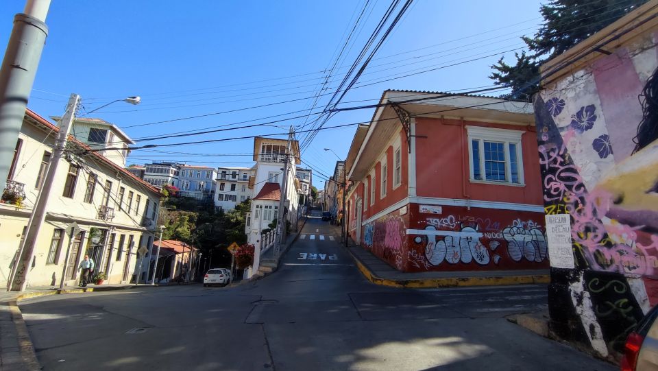 Santiago: Valparaíso Walking Tour & Casablanca Wine Tasting - Culinary Delights and Wine Pairings