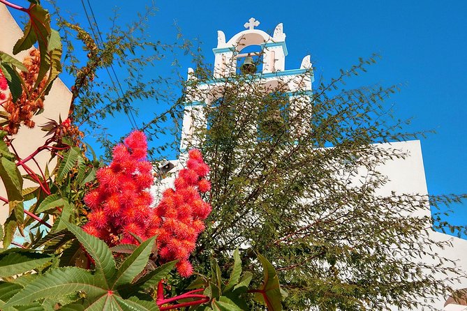 Santorini Day Tour With Sunset in Oia - Background Information