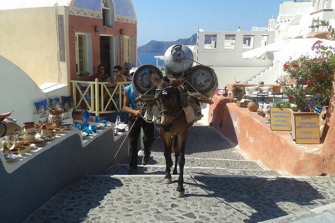 Santorini Day Trip by Ferry From Crete (Mar ) - Customer Assurance and Benefits