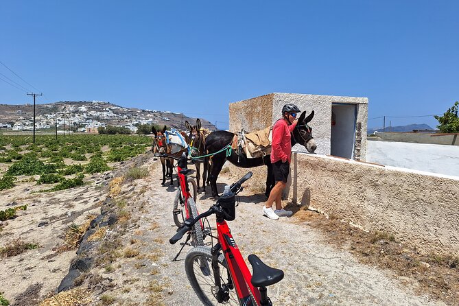 Santorini: E-Bike Tour Experience - Booking Information
