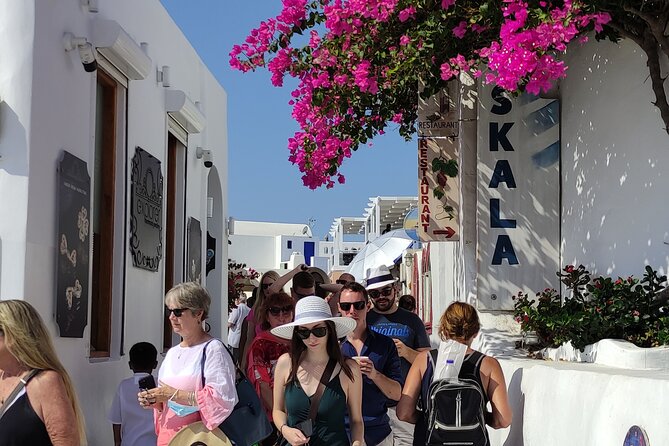 Santorini Shore Excursion: 5-hour Private Tour - Customer Reviews