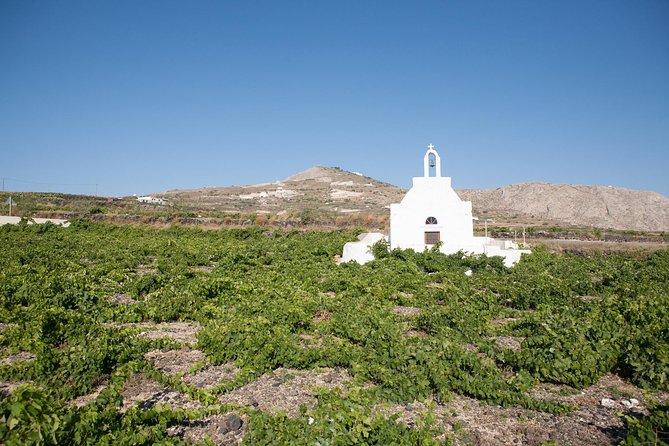 Santorini Wine Tour: Taste 12 Best Wines & 3 Beers With Pairings - Customer Feedback