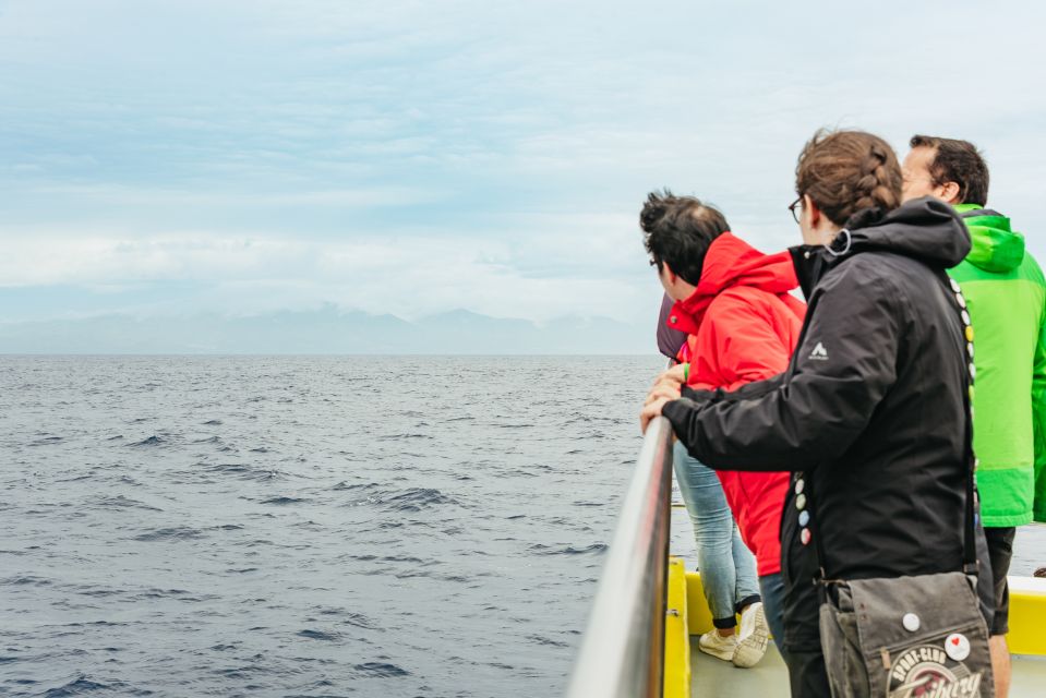 São Miguel Azores: Half-Day Whale Watching Trip - Trip Details