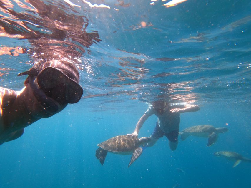 São Vicente: Snorkeling With Turtles Breathtaking Experience - Location Information