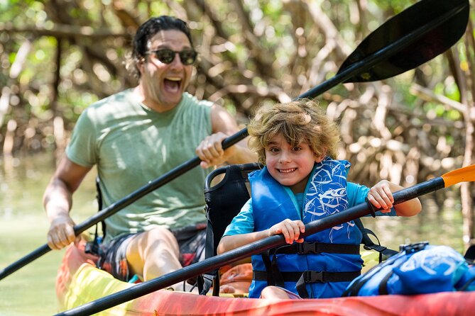 Sarasota Mangroves Kayaking Small-Group Tour (Mar ) - Common questions