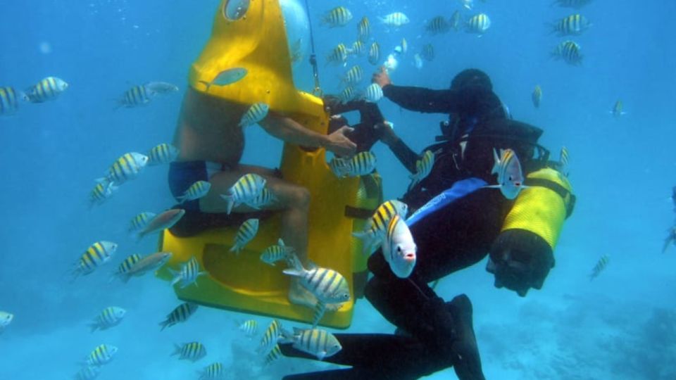 Scoba Doo Discover the Underwater Wonders of Punta Cana - Destination Details