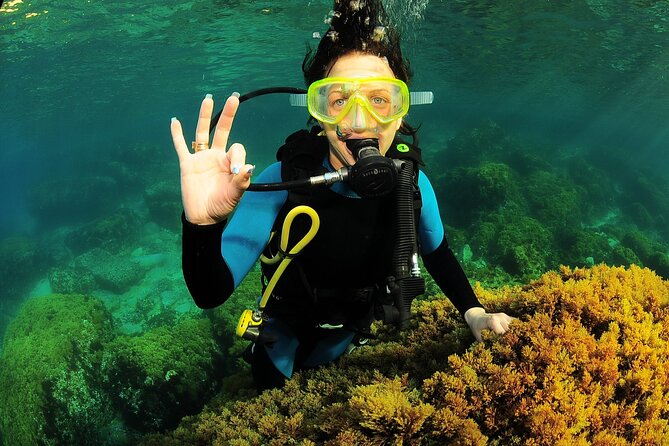 Scuba Diving Baptism and Snorkeling in Ibiza - Common questions