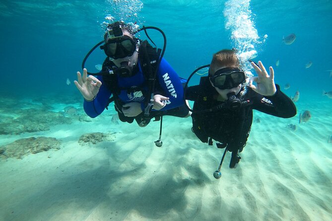 Scuba Diving (Basic Diver - 2 Dives) - Common questions