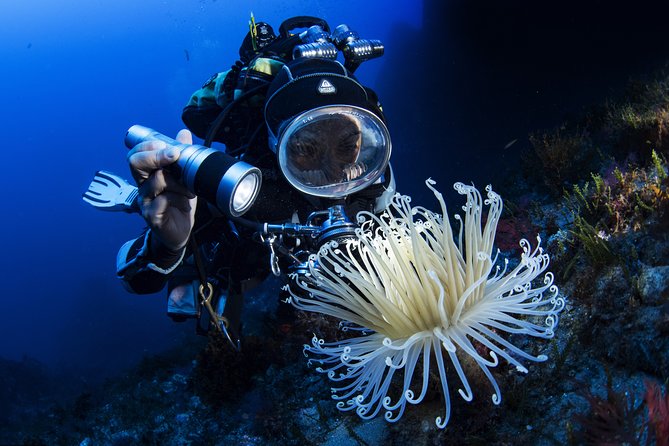 Scuba Diving in Calabria, Italy - Cancellation Policy