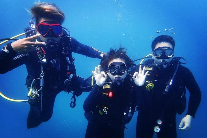 Scuba Diving in Nusa Penida - Manta Point - Reviews and Feedback