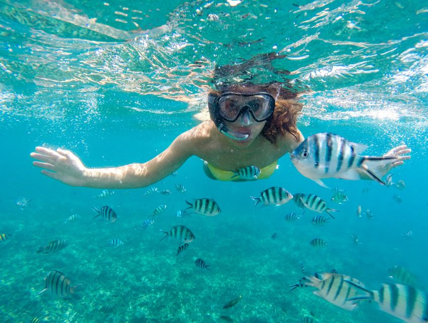 Sea-nic, Sip N' Snorkel on a Semi-Submersive Seacraft - Directions