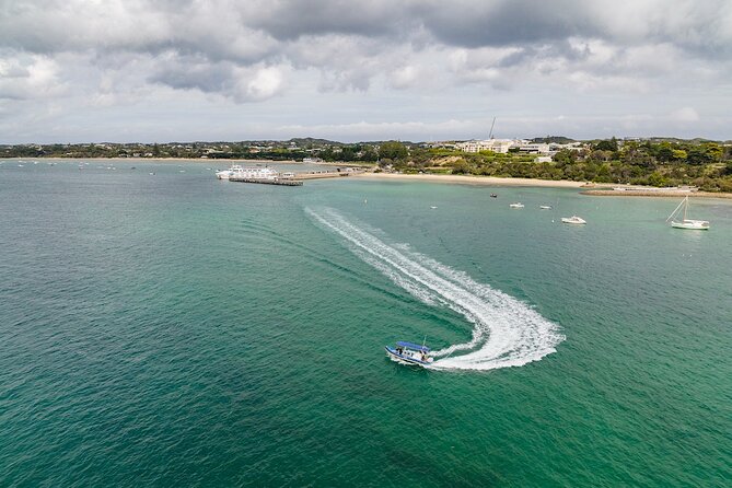 Seal and Dolphin Watching Eco Boat Cruise Mornington Peninsula - Common questions