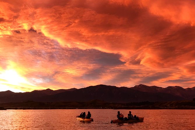 Seal Kayaking Adventure in Kaikoura - Safety Guidelines